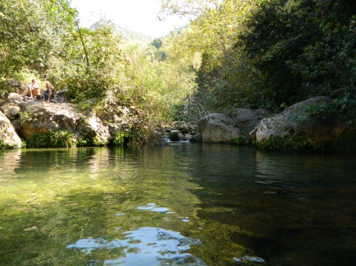 Nachal Kziv's main swimming hole