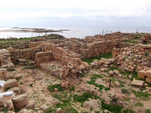 Tel Dor ruins