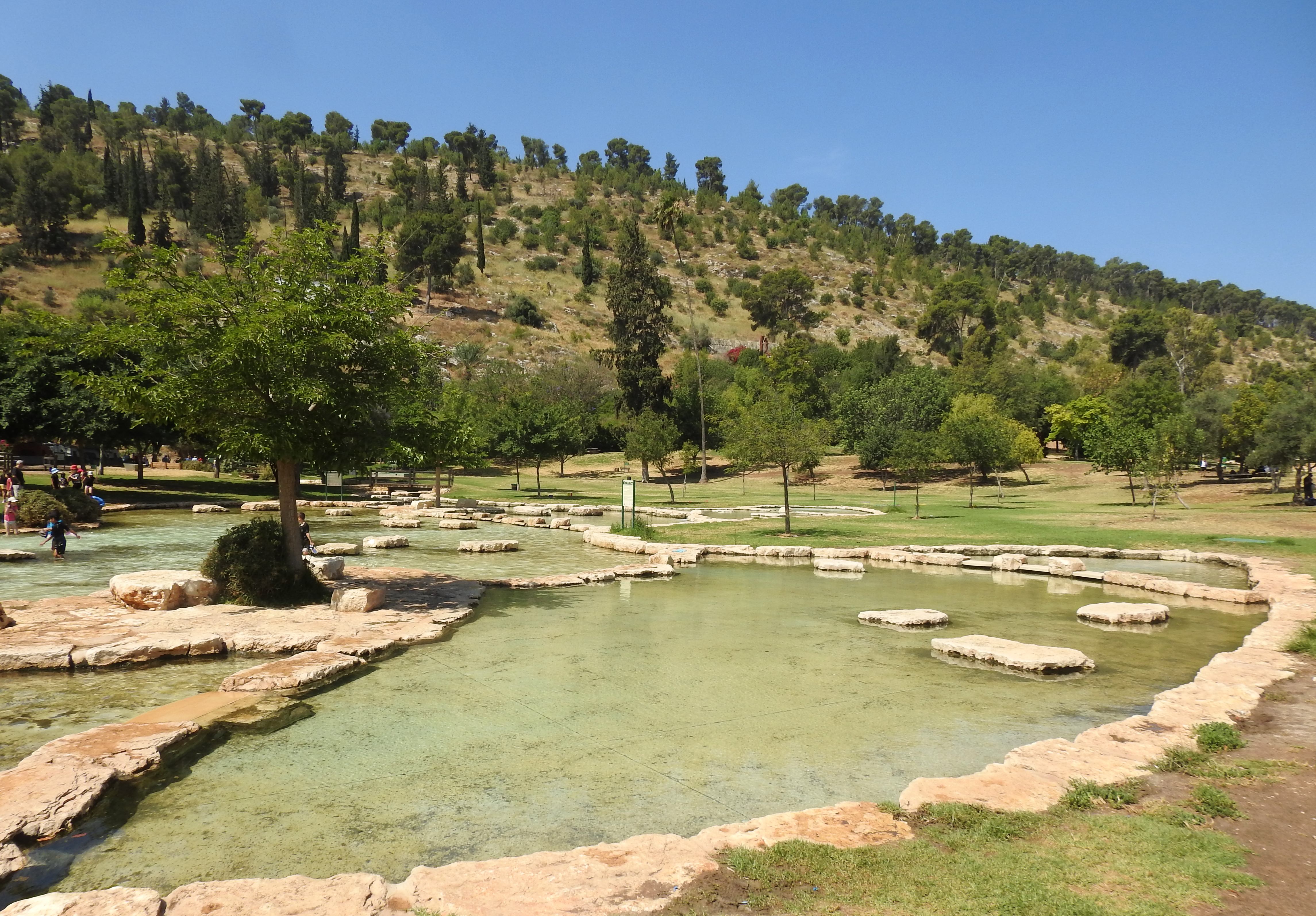 The gentle pools of Ma'ayan Harod