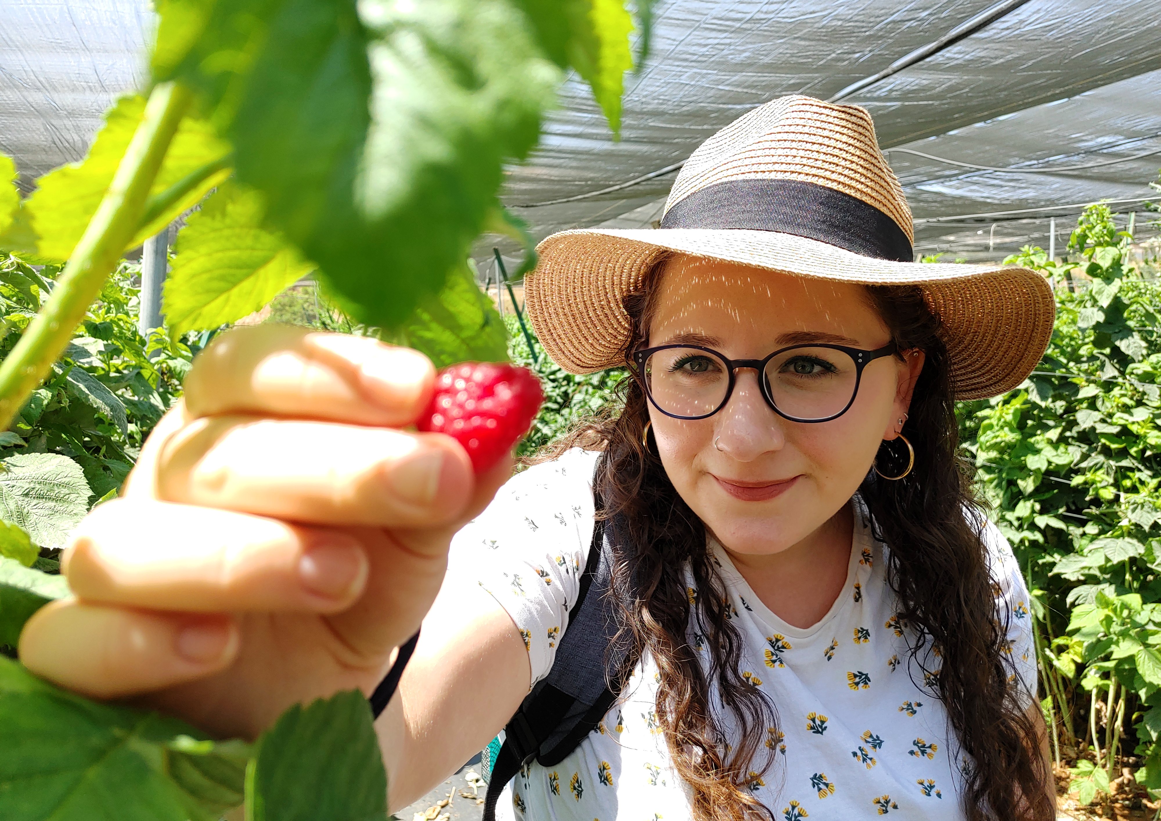 Bracha finding a choice raspberry